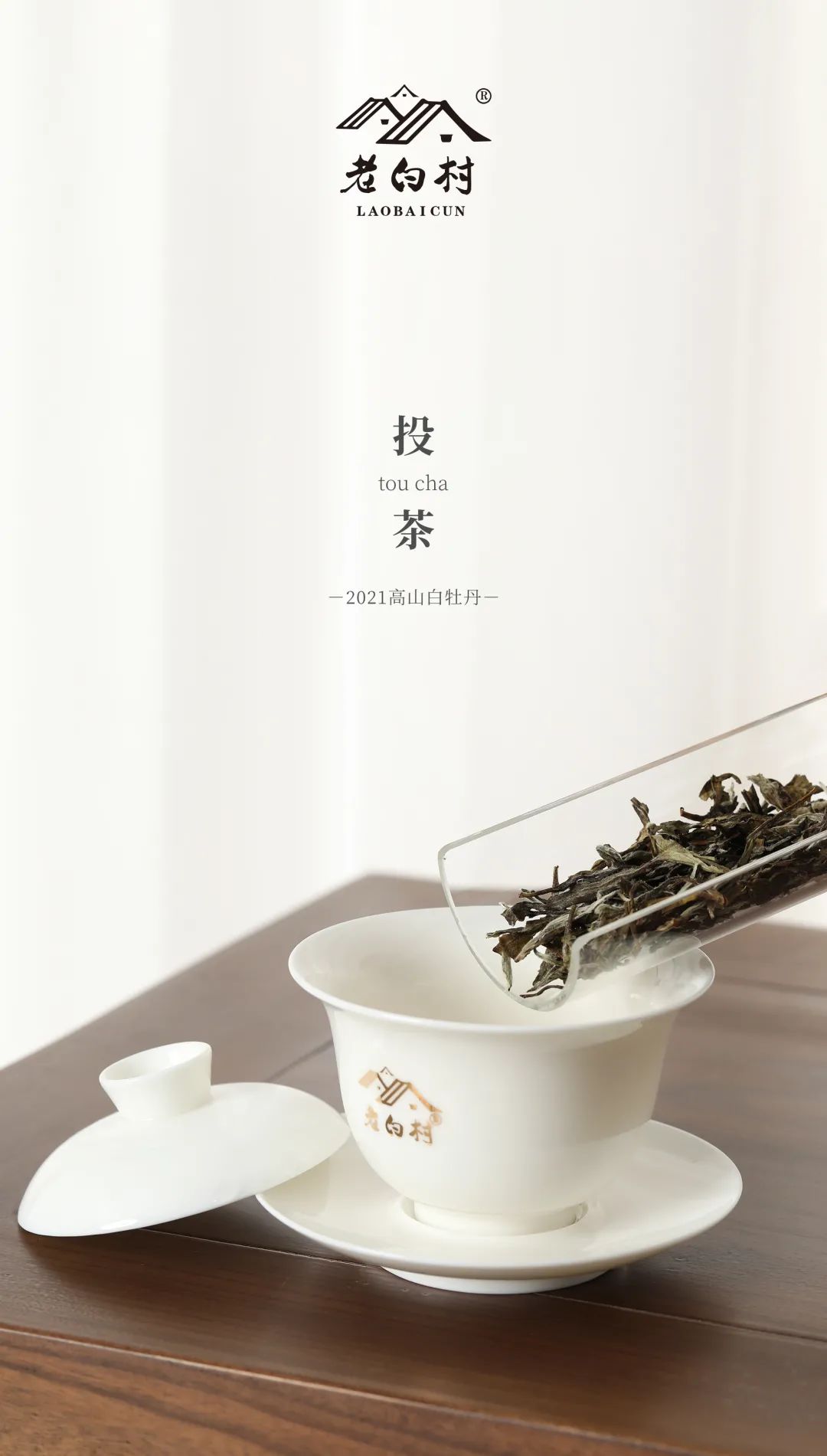 福鼎白茶 青霜 ・白露 350ｇ 2021年製造 福鼎白茶 青霜 ・白露 350g 2021年製造 - 茶オンライン