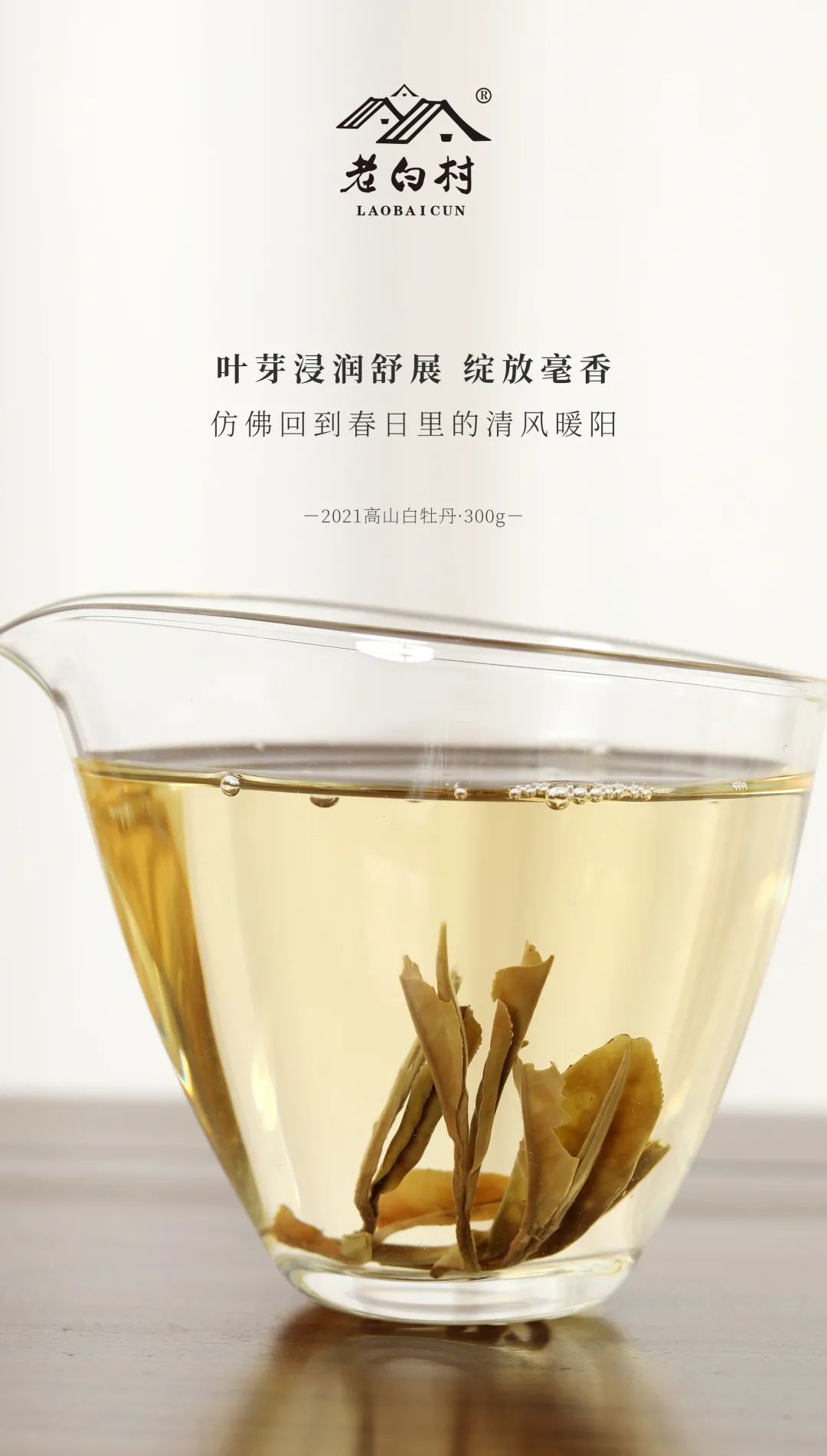 福鼎白茶 青霜 ・白露 350ｇ 2021年製造 福鼎大品茶业有限公司|福鼎大品茶业|大品茶业有限公司|大品茶业