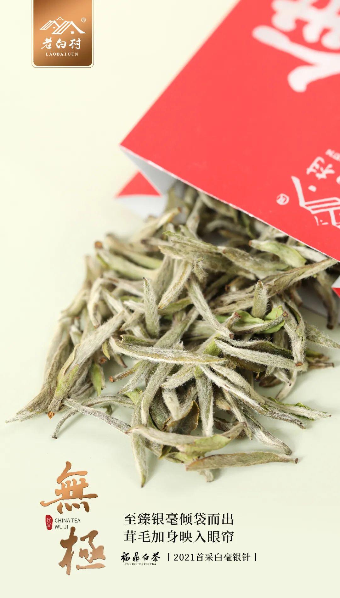 福鼎大品茶业有限公司|福鼎大品茶业|大品茶业有限公司|大品茶业