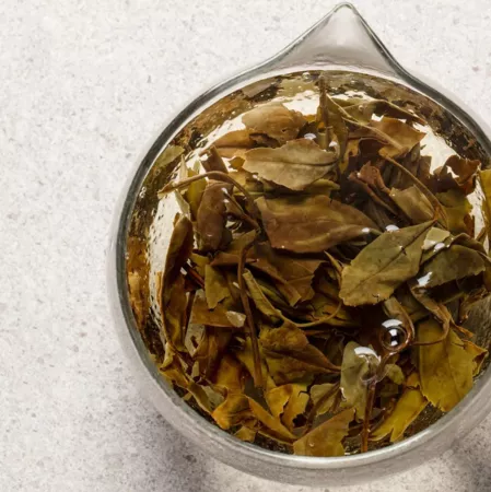 福鼎大品茶业有限公司|福鼎大品茶业|大品茶业有限公司|大品茶业